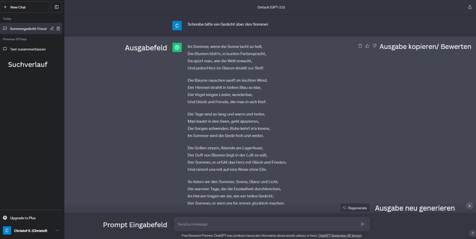 Uebersicht_ChatGPT_Eingabefenster